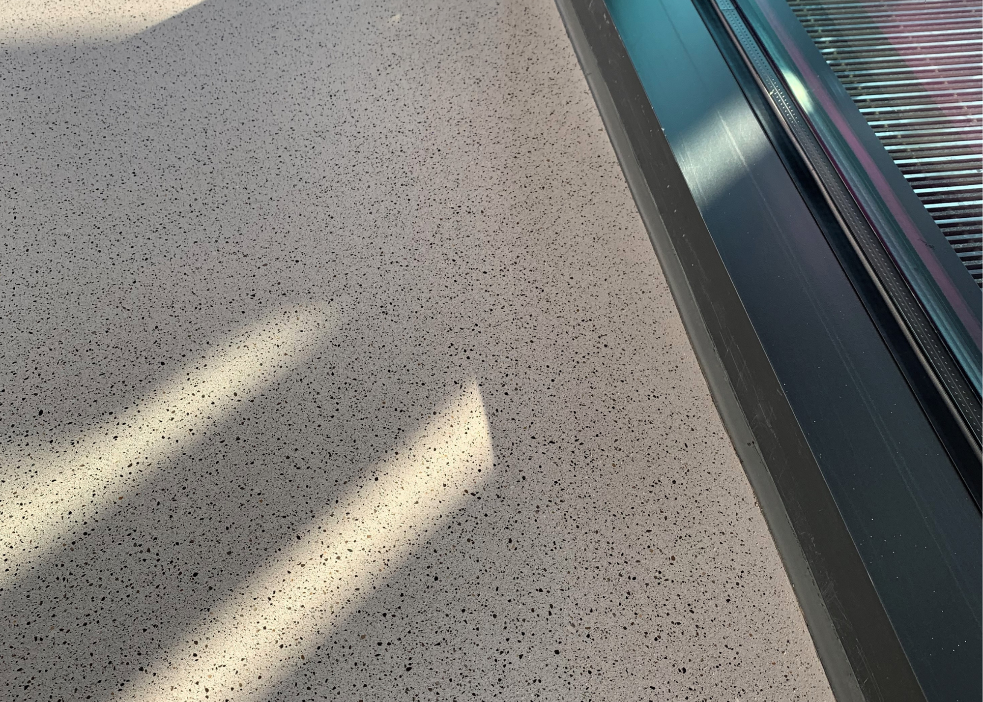 Close-up detail of polished concrete with exposed aggregate finish in Regional Clinical Laboratory