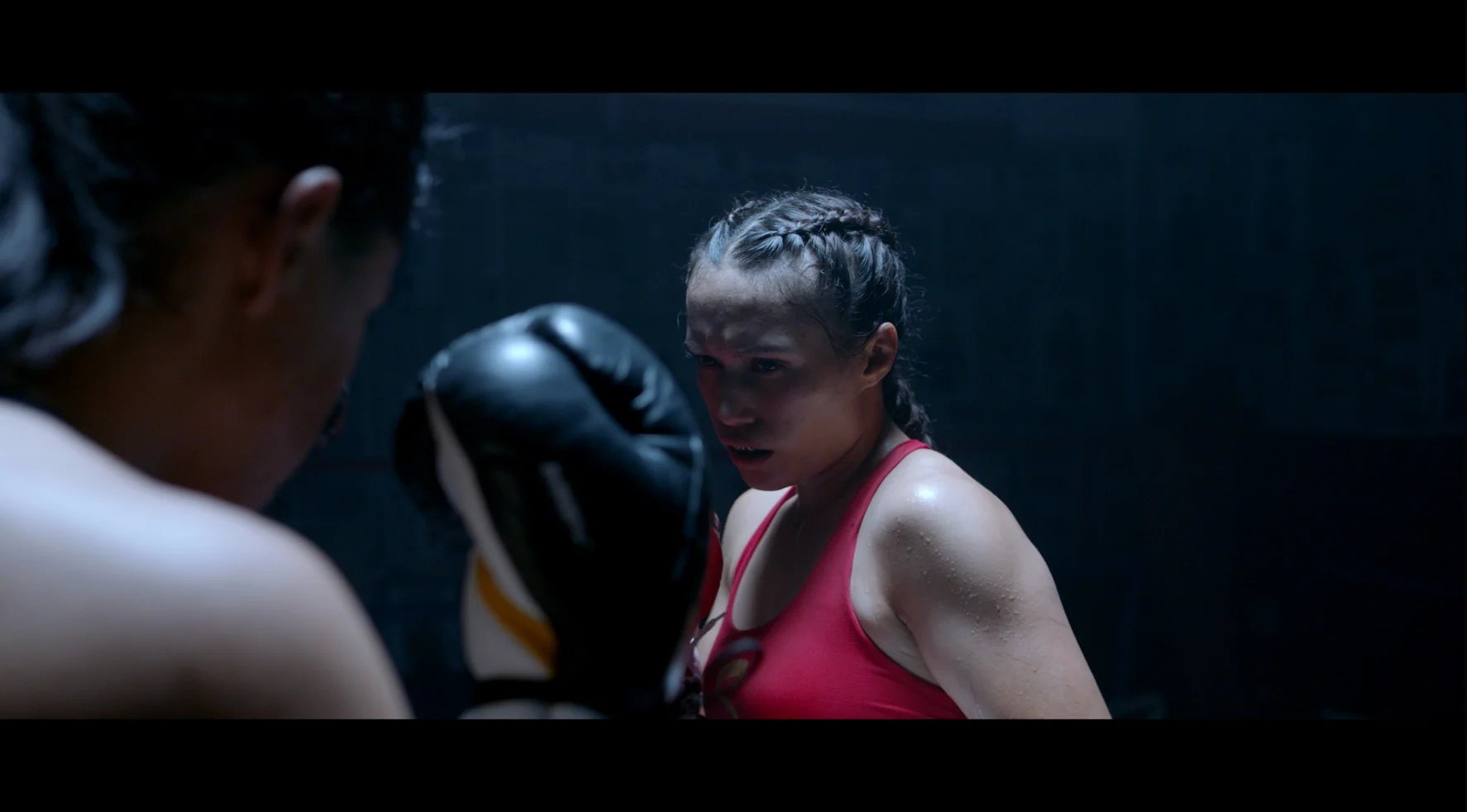 Screen+Shot+2019-08-22+at+4.15.00+PM.jpg