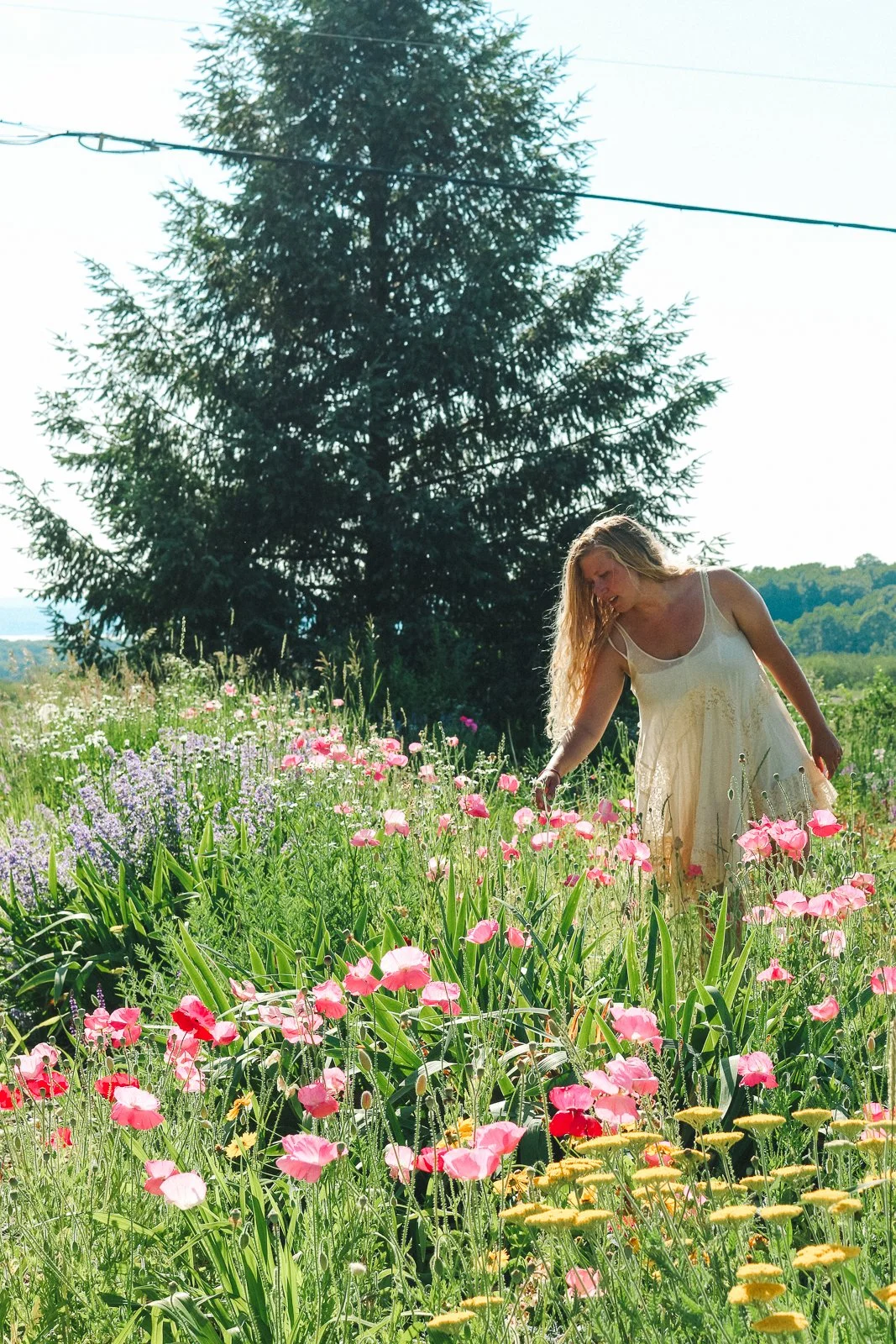 JesRoseDesign-8186.jpg