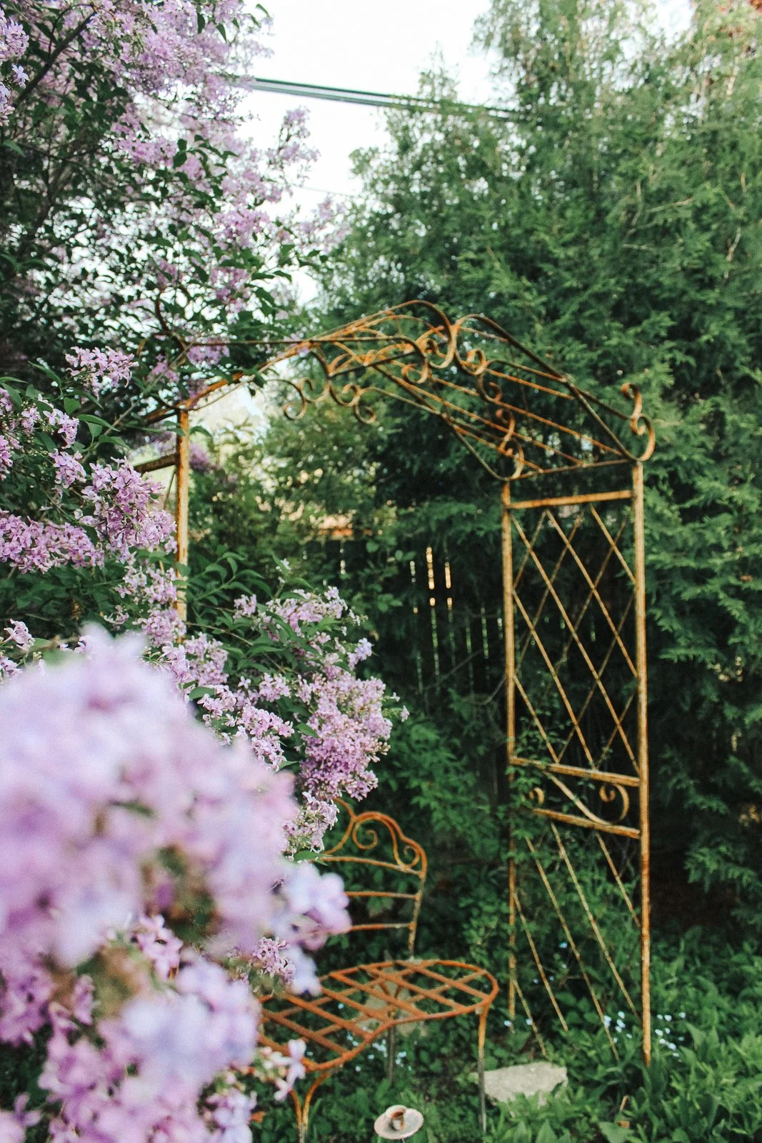JesRoseDesign-5208.jpg