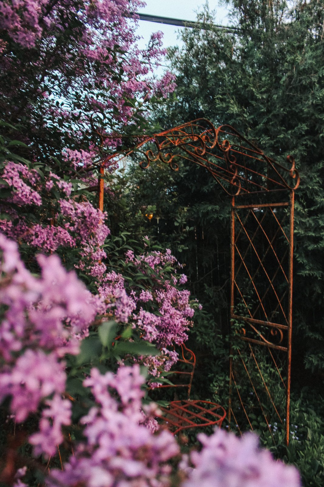 JesRoseDesign-5285.jpg