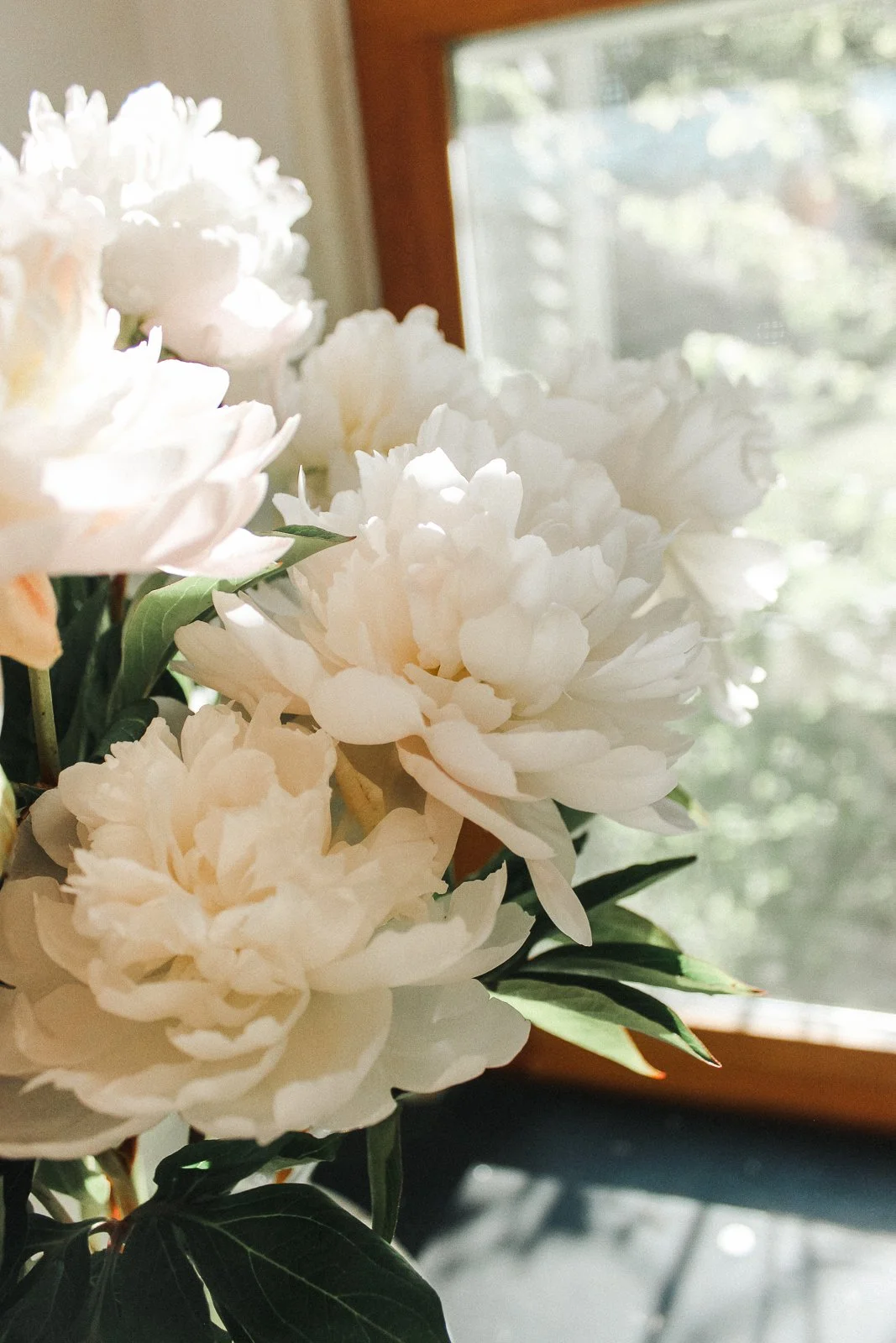 JesRoseDesign-6011.jpg