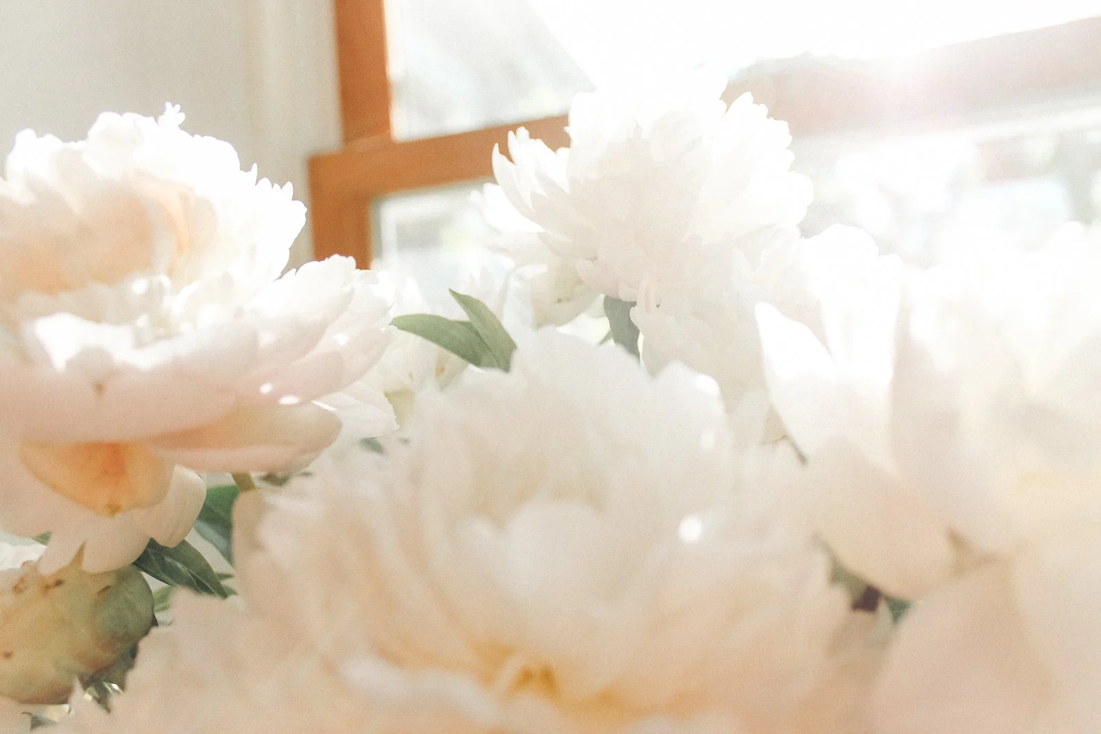 JesRoseDesign-6006.jpg