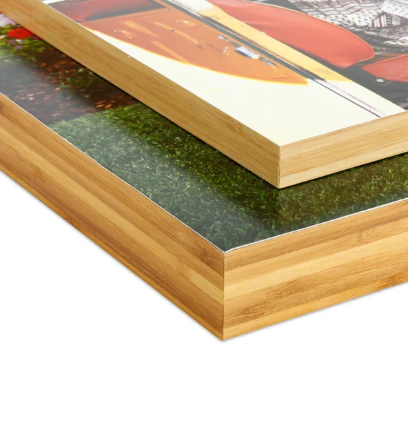 m_standout_bamboo_depths.jpg