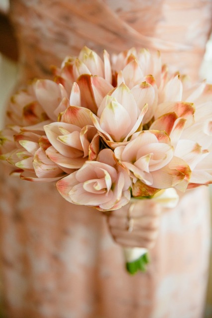 coral-bridesmaid-bouquet.jpg