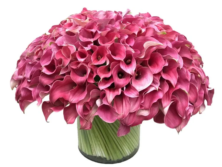 Luxe Mini Callas starting at $500