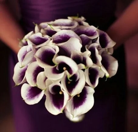 bridesmaids-picasso calla.jpg