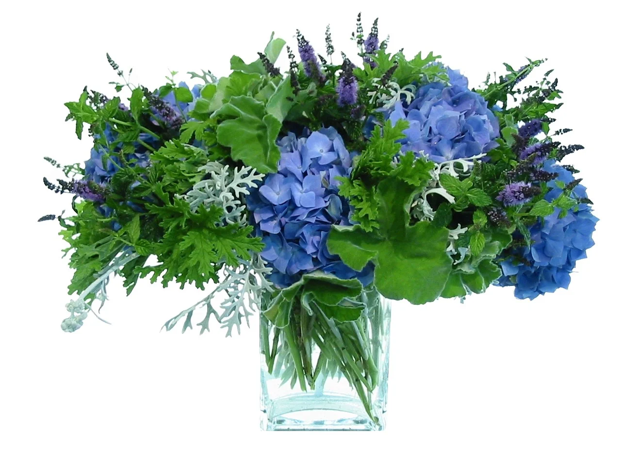 Herbal Blue Hydrangea Comp starts at $225
