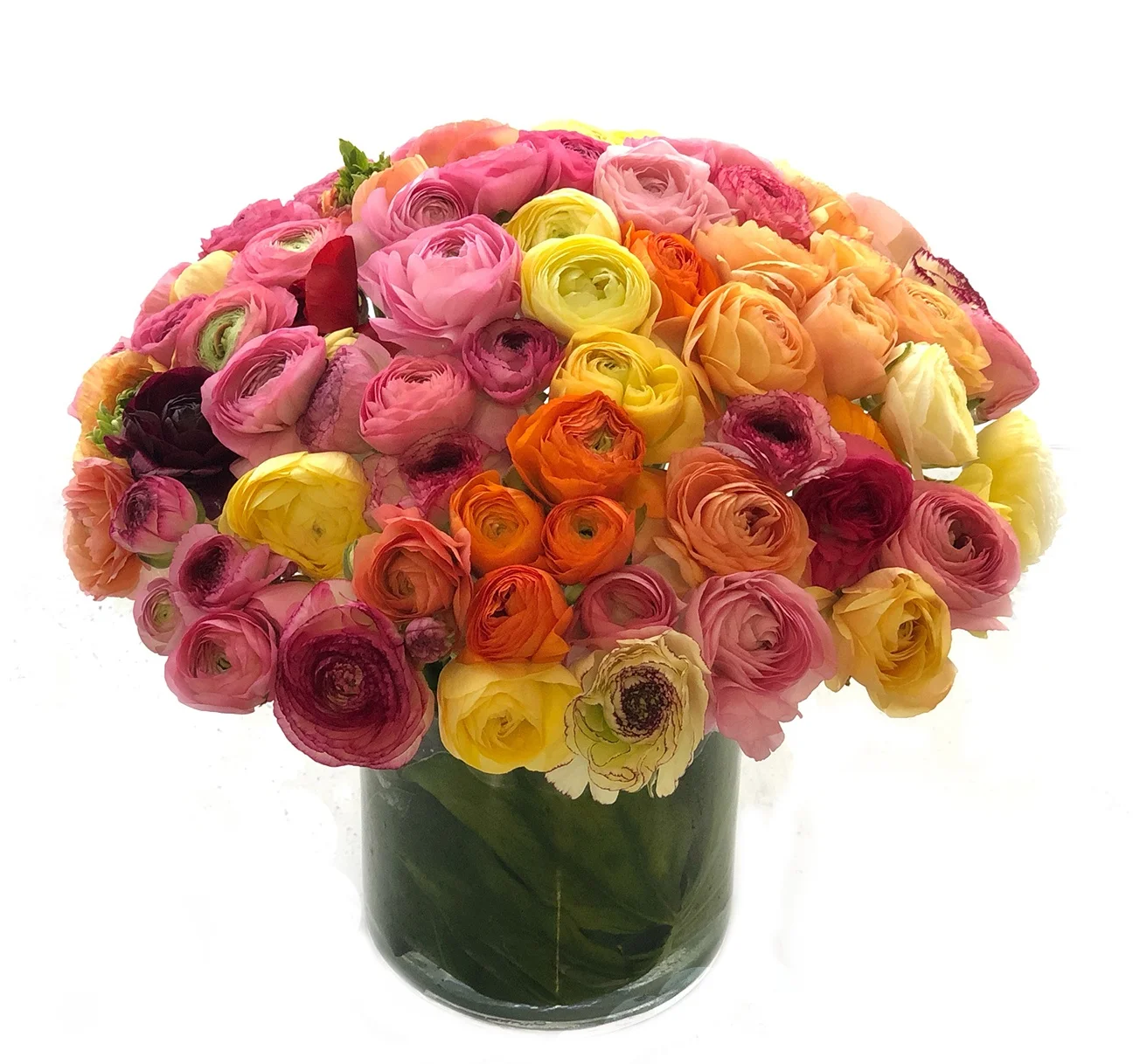 Ranunculus Mix