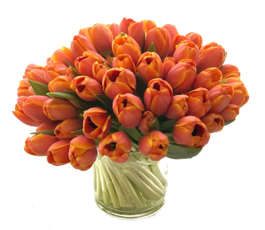 Orange Tulips