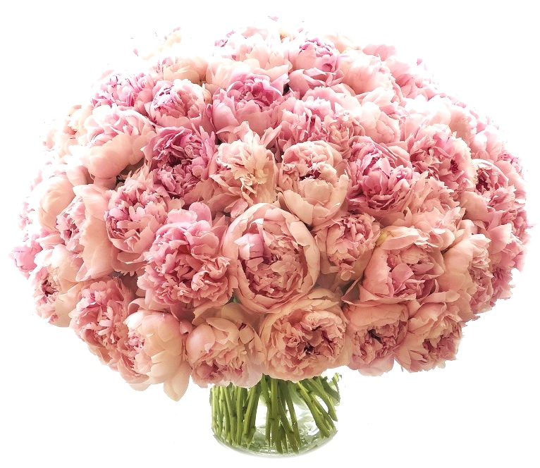 Luxe Pale Pink Peonies