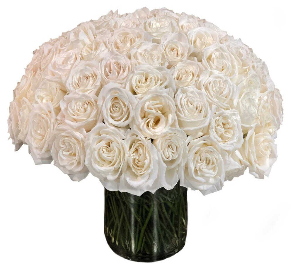 Luxe white Roses 