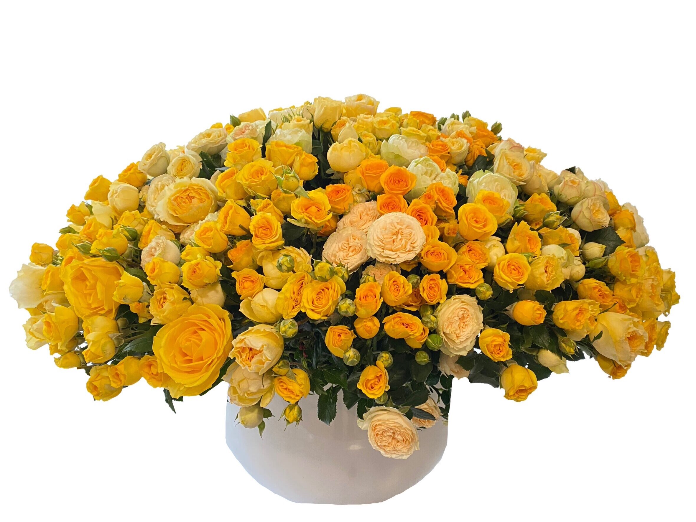 Luxe Yellow Garden Roses 