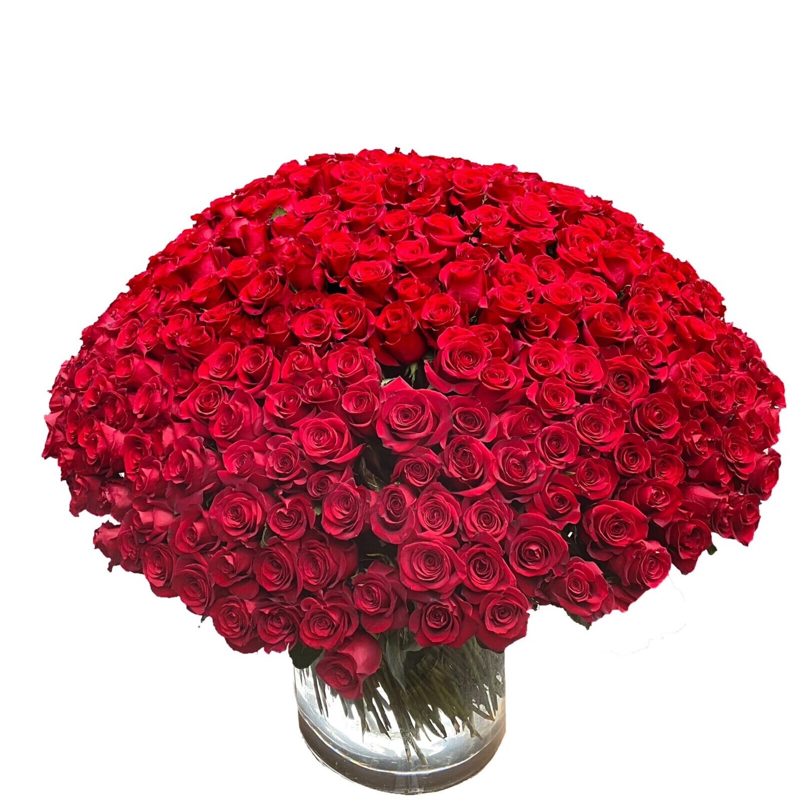 Luxe Red Roses 