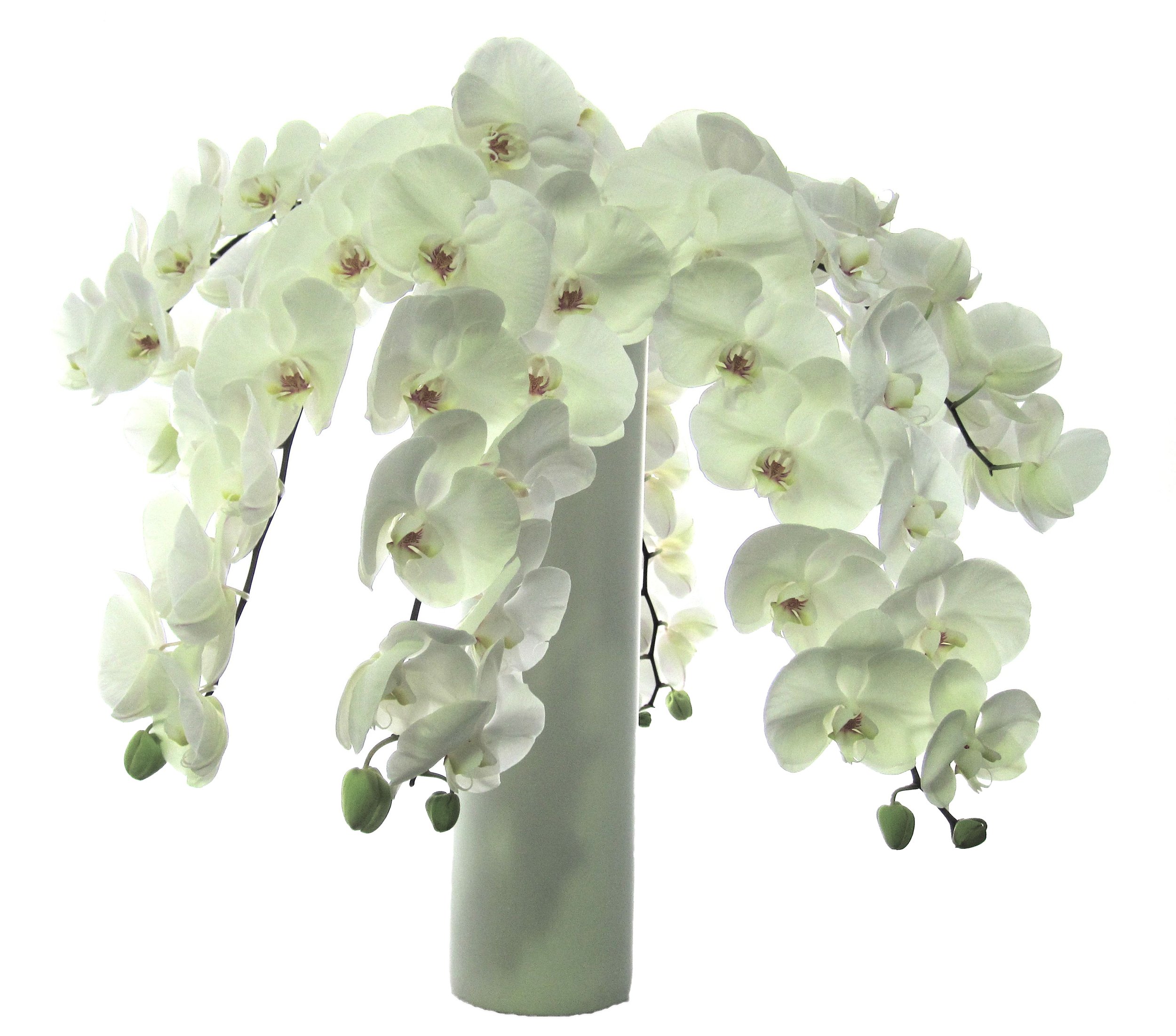white cut orchids