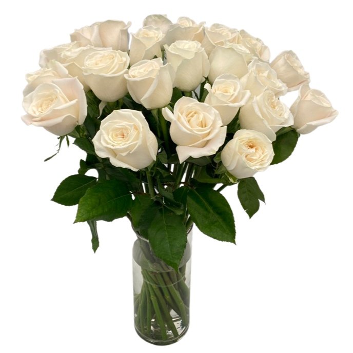 tall white roses