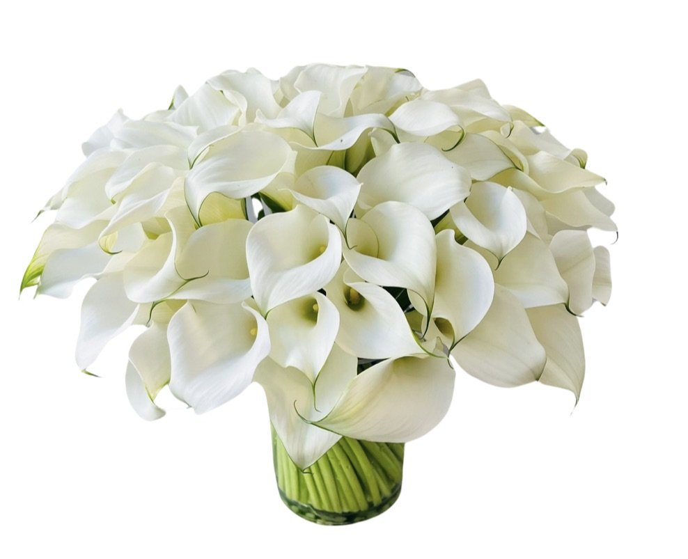 white mini callas