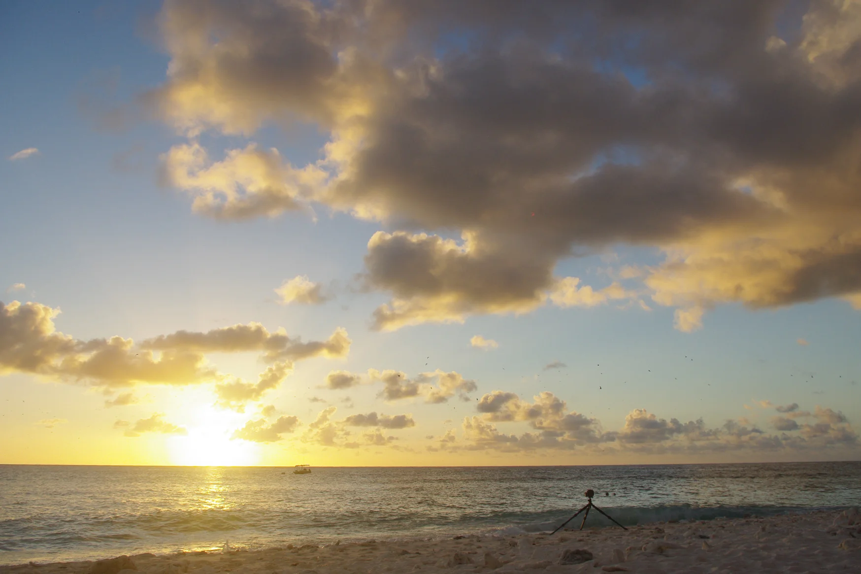 Lady Elliot Island, Australia 