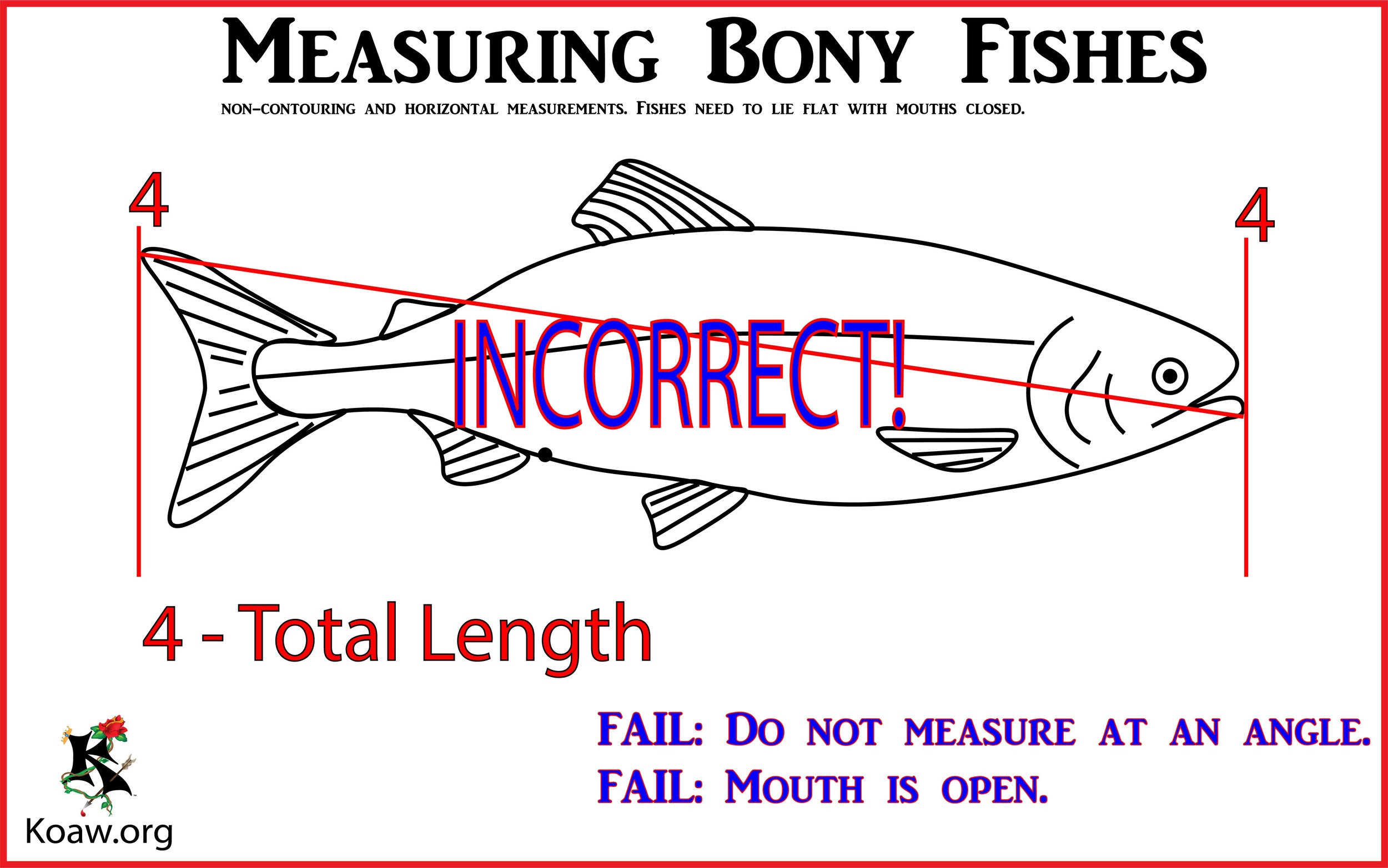 Incorrect Measurement - Illustration by Koaw