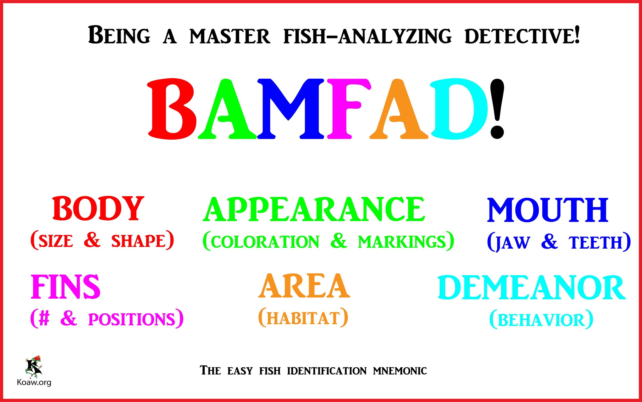 BAMFAD Being a master fish-analyzing detective! - by Koaw