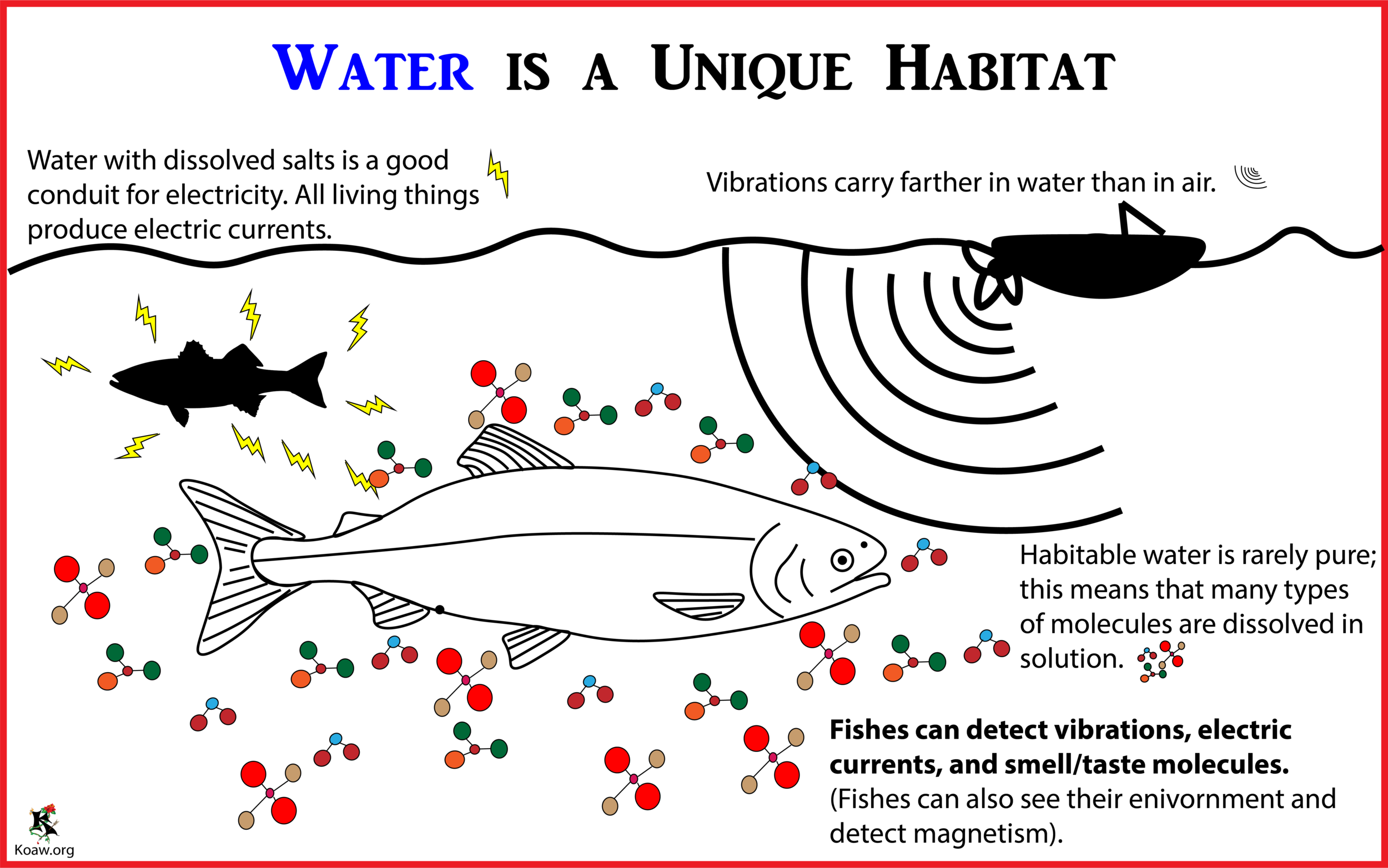 Water is a Unique Habitat