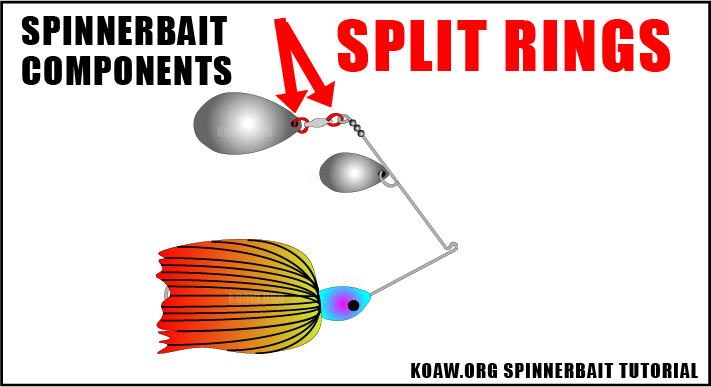 SPLIT RINGS Koaw_Org.png