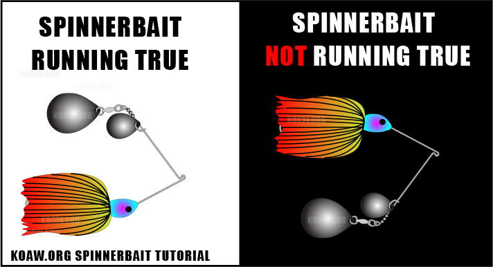 RUNNING TRUE KOAW_ORG.png