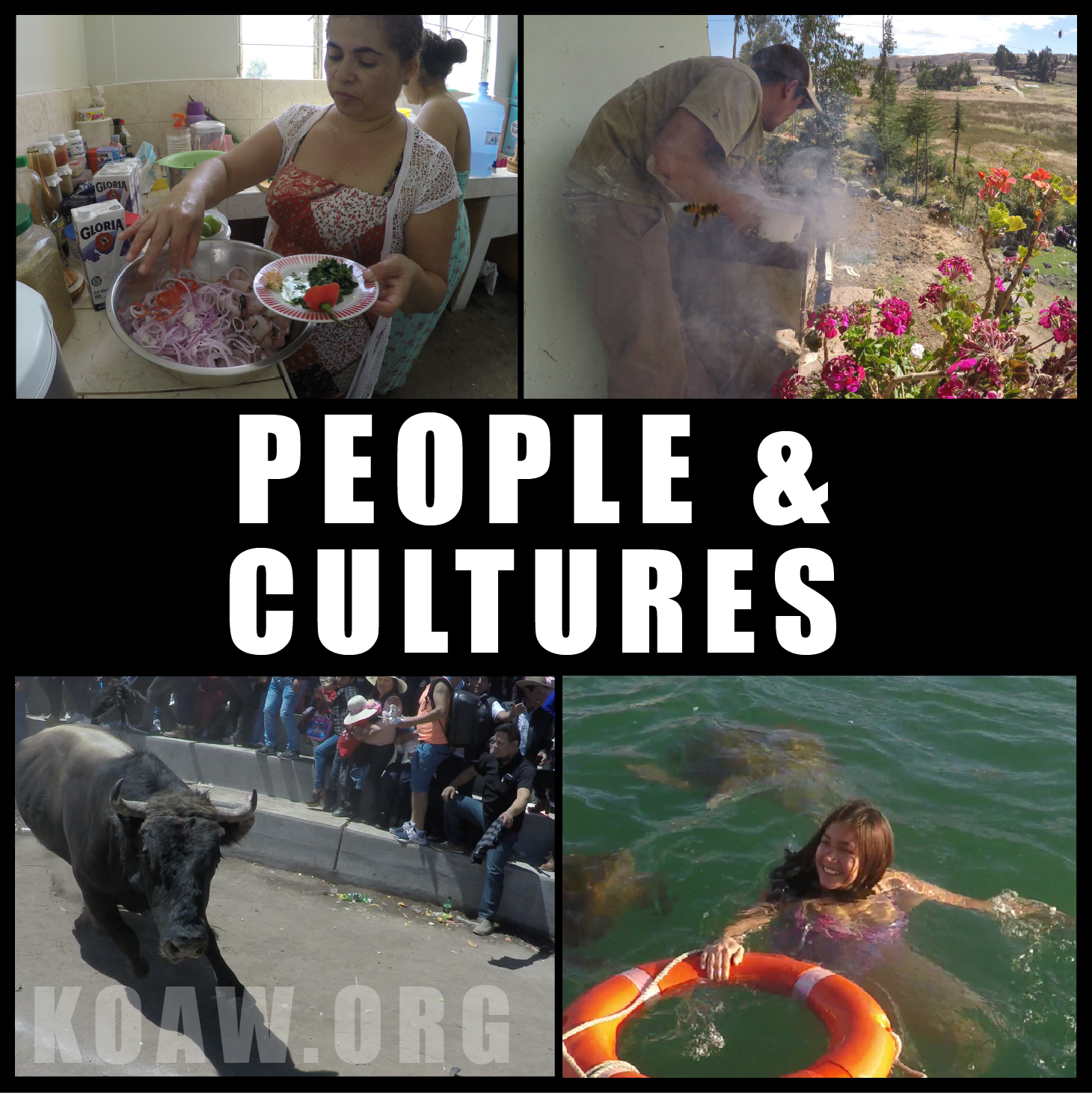 CULTURE koaw org.png