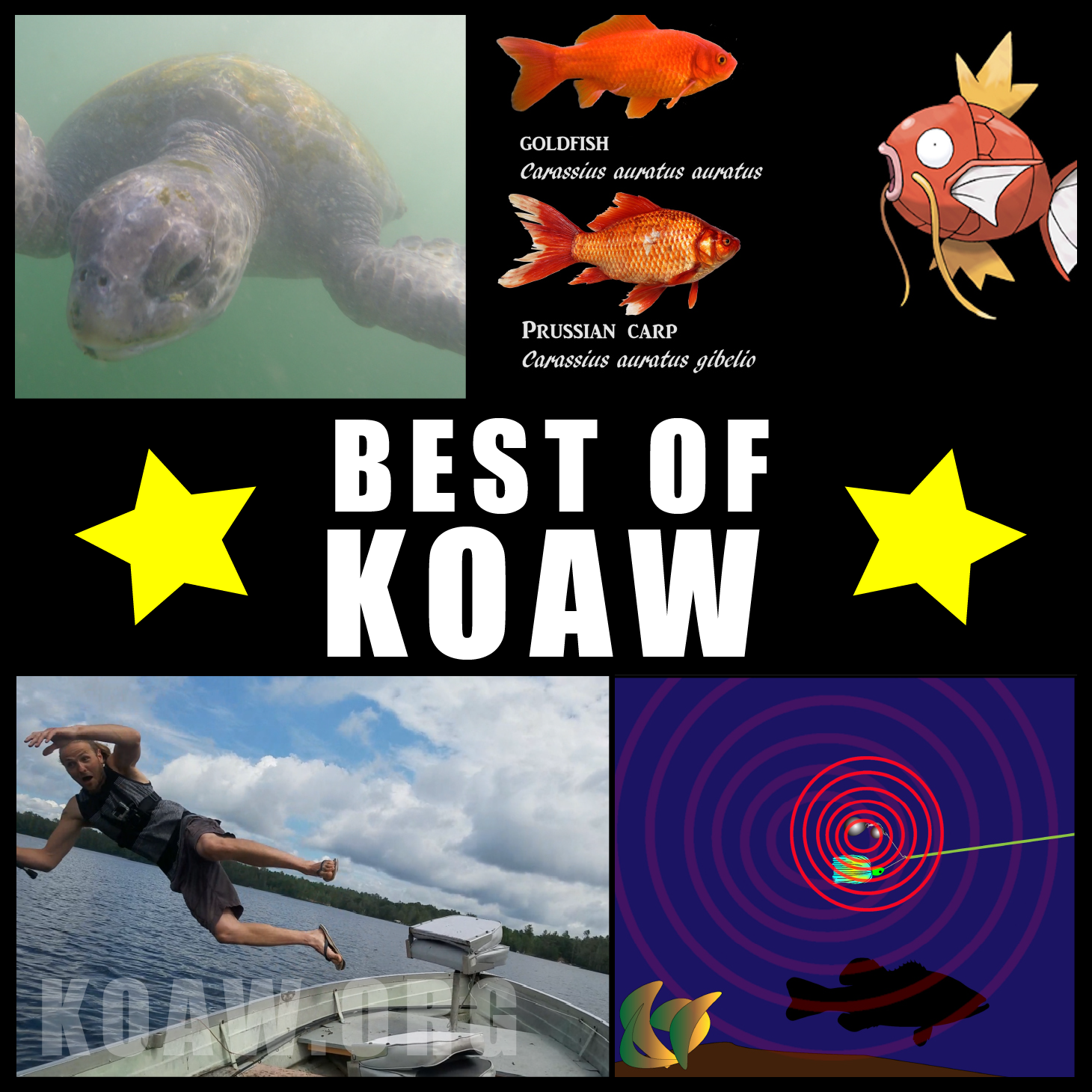 best of koaw koaw org.png