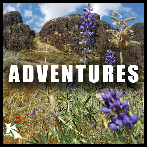 Adventures Koaw Nature Category.png