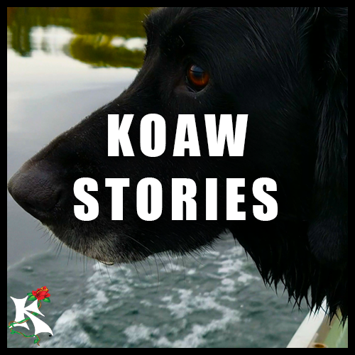 Koaw Stories Koaw Nature Subcategory.png