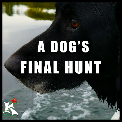 A DOGS FINAL HUNT BY KOAW NATURE SUBCAT.png