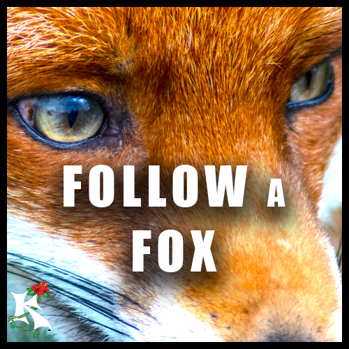 FOLLOW A FOX Koaw Nature SubCat.png