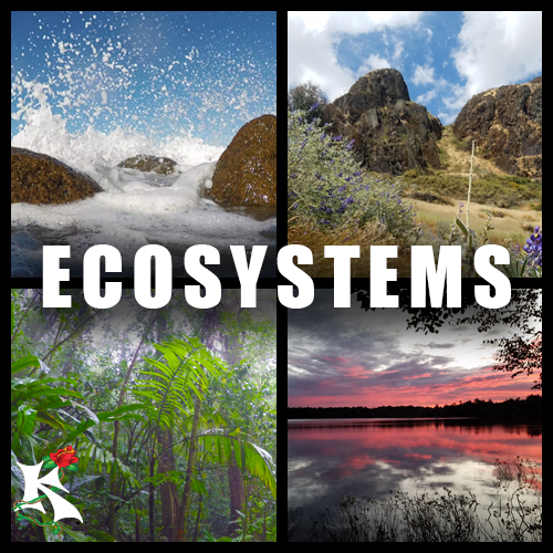 Ecosystems Category Koaw Nature.png