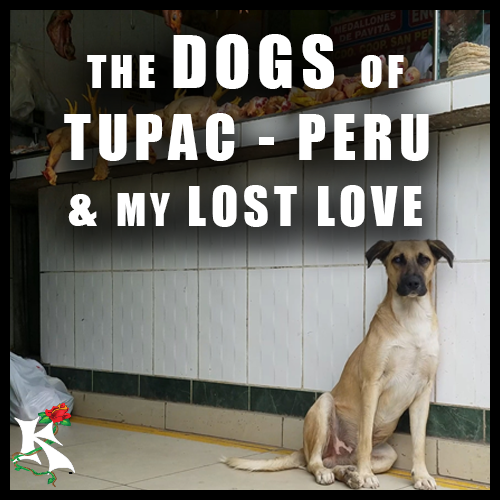 Dogs of Tupac and my Lost Love.png