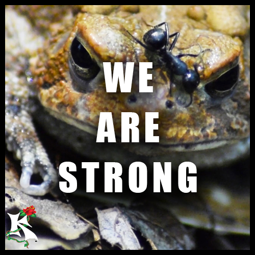 We are Strong Koaw Nature Subcat.png