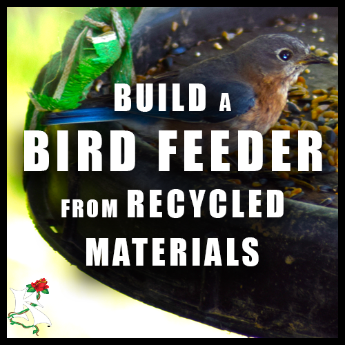 Build a Bird Feeder FROM RECYCLED MATS Koaw Nature.png