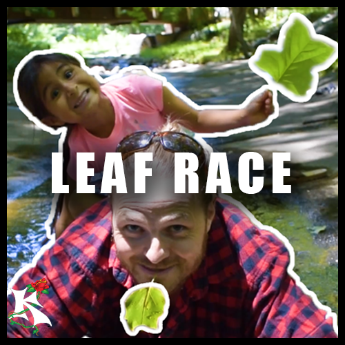 Leaf Race with Kids Koaw Nature.png