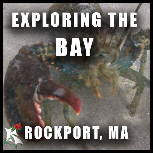 Rockport MA Exploring the Bay.png