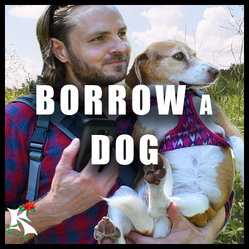 Borrow a Dog KOAW NATURE.png
