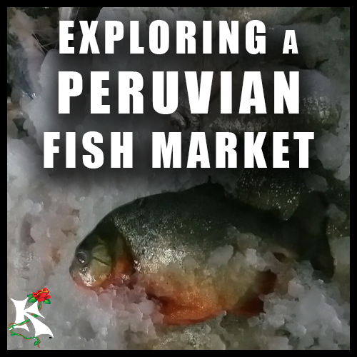 Exploring a Peruvian Fish Market Koaw Nature SubCat.png
