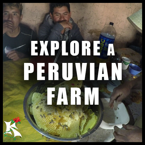 Explore Peruvian Farm Koaw Nature.png