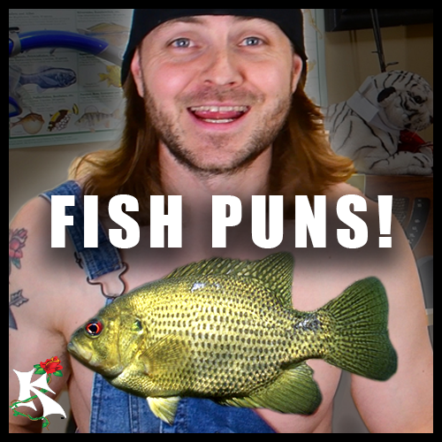 Hilarious Fish Puns and Jokes Koaw Nature.png