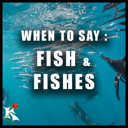FISH OR FISHES WORD CHOICE KOAW NATURE.png