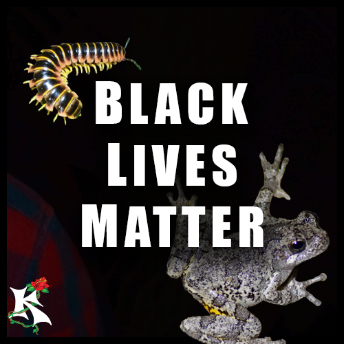 Black Lives Matter Koaw Nature.png
