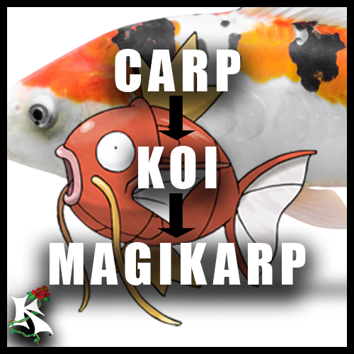 carp Magikarp Koaw Nature.png