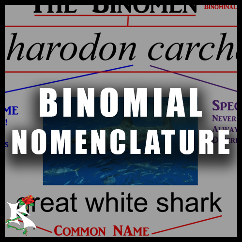 Binomial nomenclature Koaw Nature.png