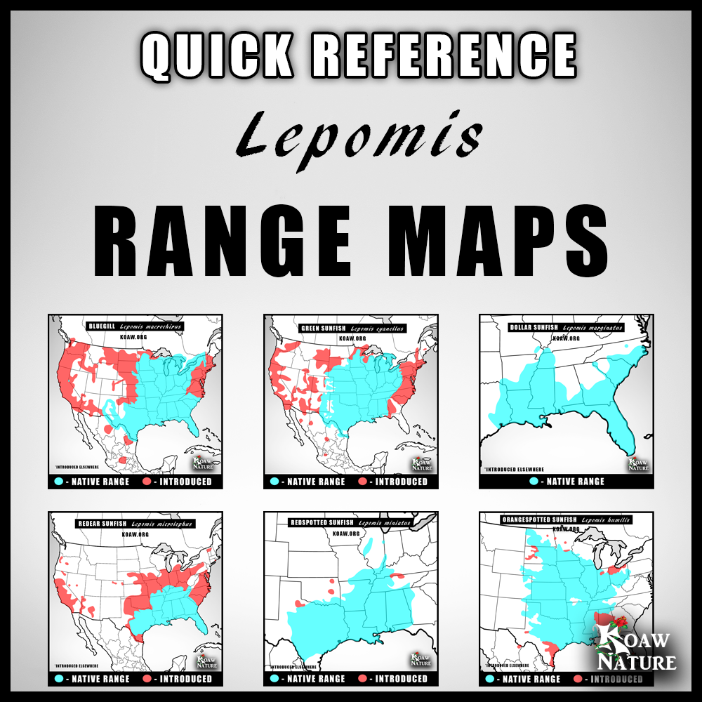 Quick Ref Range Maps Koaw Nature.png