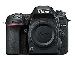 Nikon D7500 (Great Camera!)