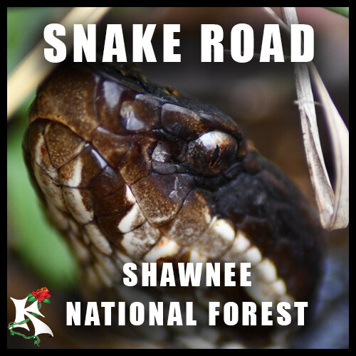 Snake Road Shawnee National Forest.jpg